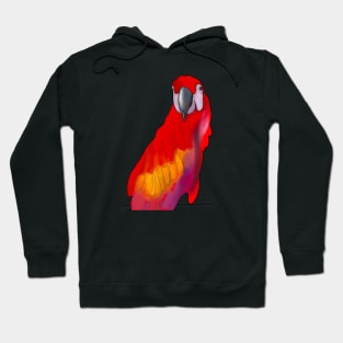 Guacamaya Hoodie